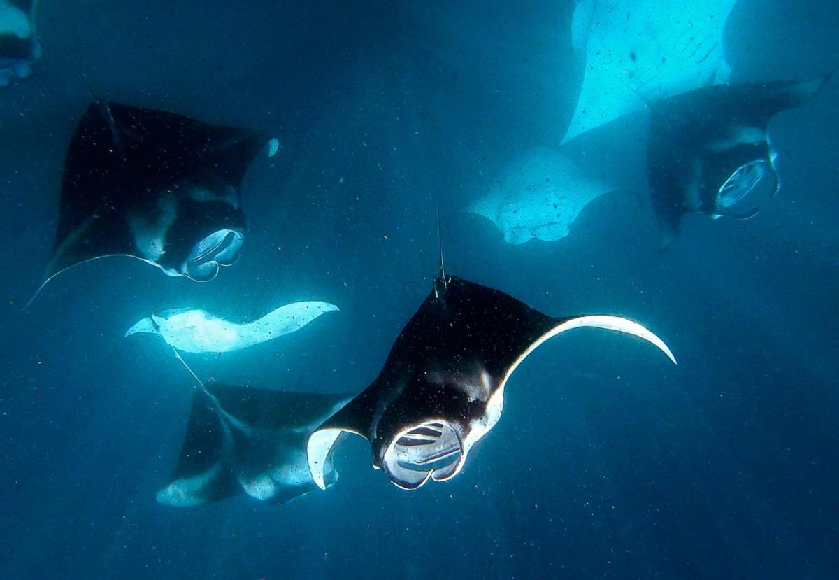 Manta Reserve Maalhos  Exterior foto